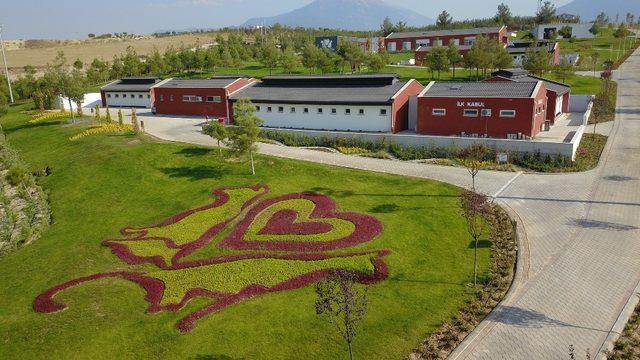 5 yıldızlı sokak hayvanları tesisini Bakan Pekdemirli açacak