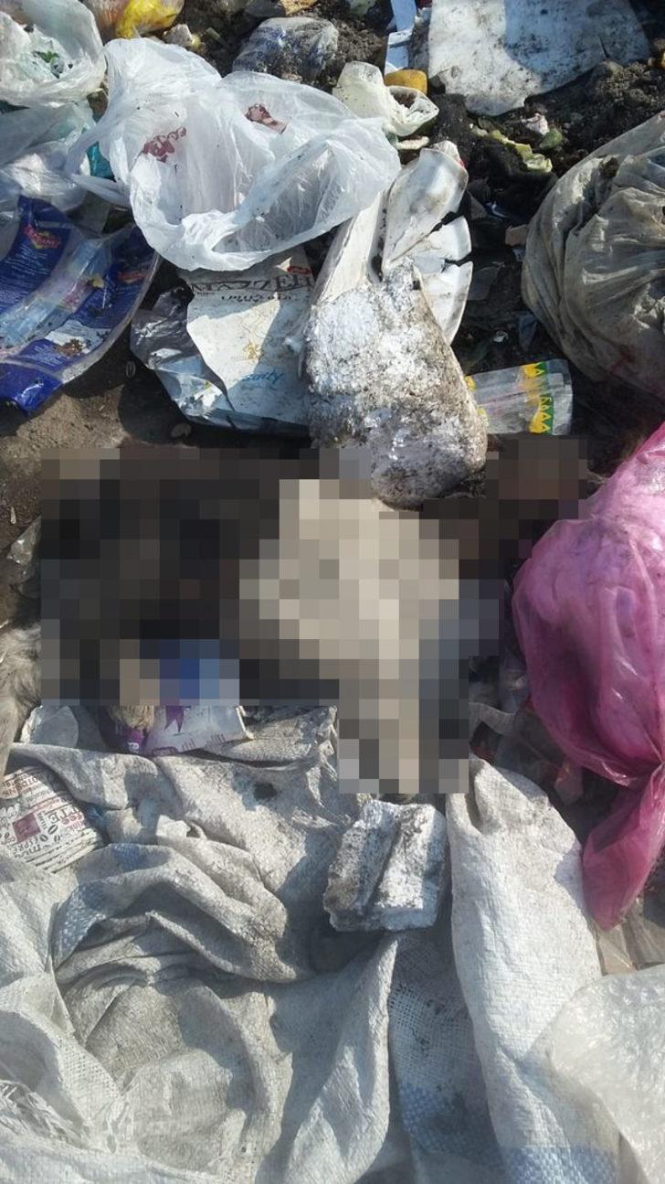 Ölü bedenleri çöpten topladılar! Iğdır'daki korkunç manzara yetkilileri harekete geçirdi G4