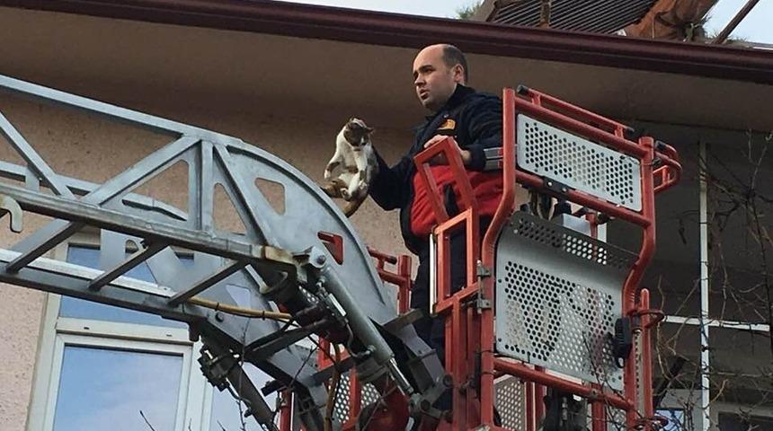 Balkonda 2 g&uuml;nd&uuml;r mahsur kalan kediyi itfaiye kurtardı