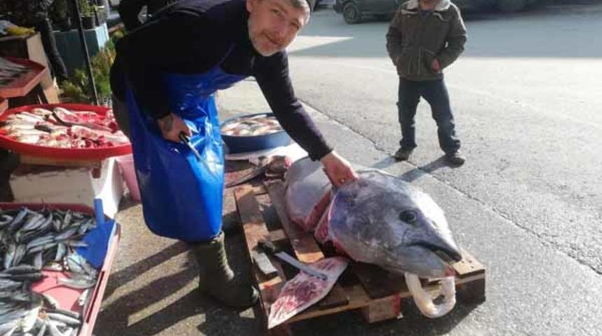 Tam 150 kilo! Gören bir daha bakıyor
