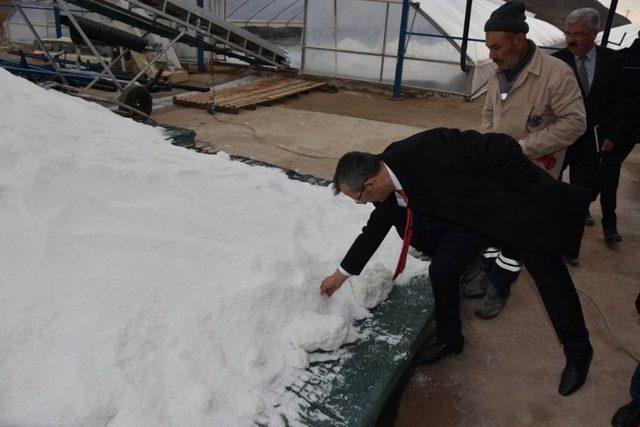 Dünyanın en iyi tuzu yerin 20 metre altından çıkıyor