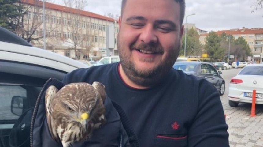 Yolda buldukları kızıl şahini yetkililere teslim ettiler