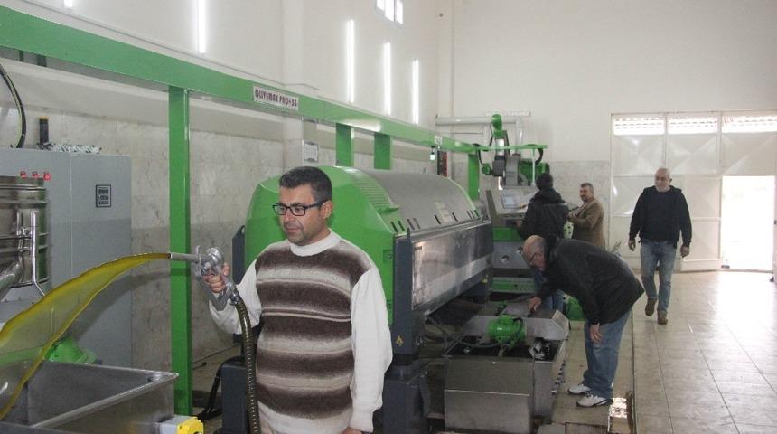 Zeytinyağının fiyatı ge&ccedil;en yıla g&ouml;re d&uuml;şt&uuml;