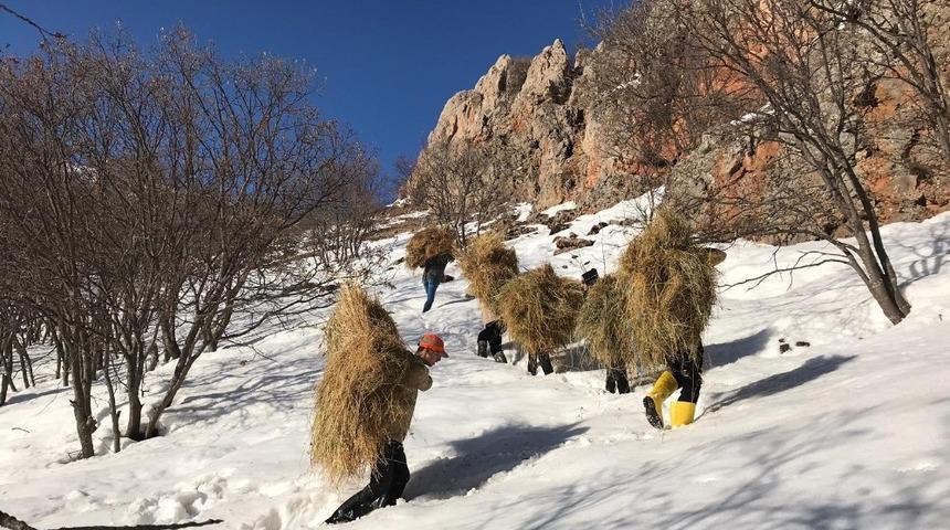 Bing&ouml;l&rsquo;de bu kez avcılar doğaya yem bıraktı