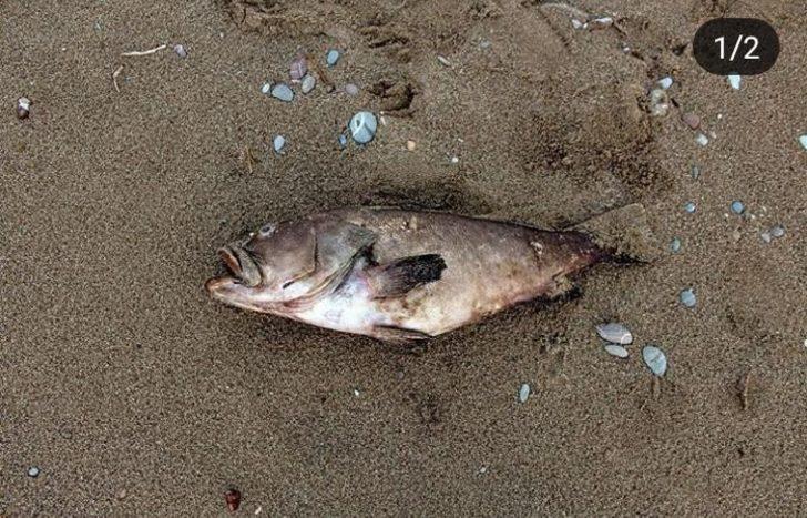 Antalya'da fırtına sonrası korkunç görüntüler G5