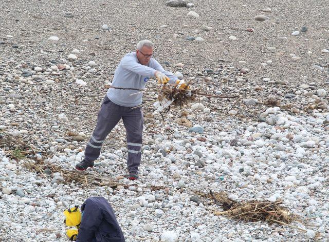 Büyükşehirden fırtına sonrası Konyaaltı’nda sahil temizliği