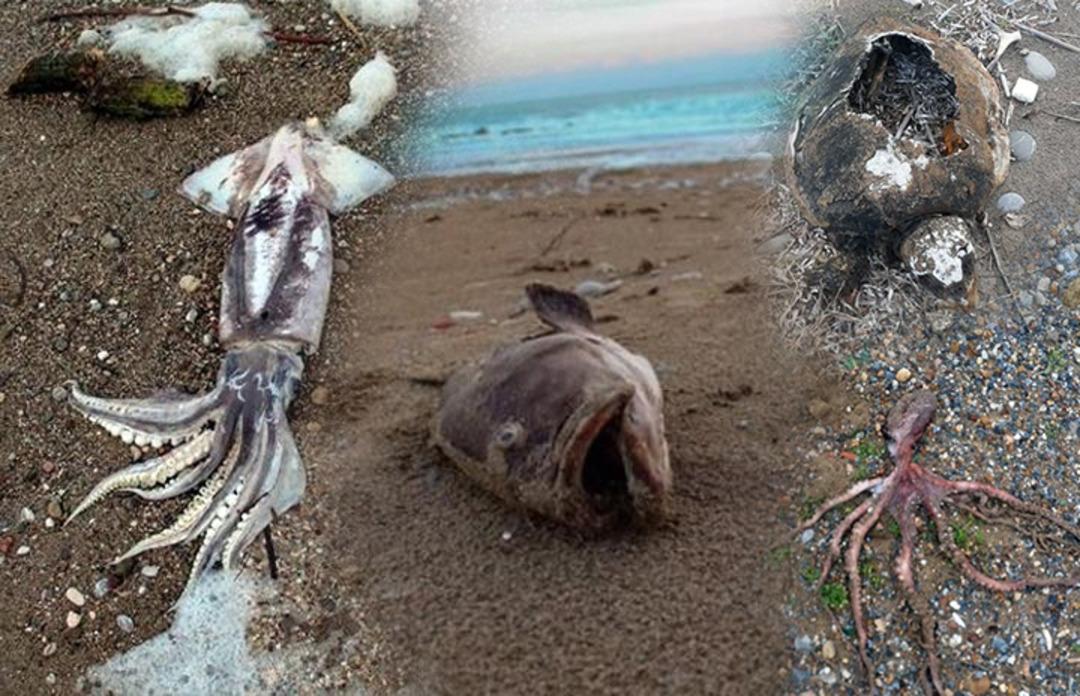 Antalya'da fırtına sonrası korkun&ccedil; g&ouml;r&uuml;nt&uuml;ler