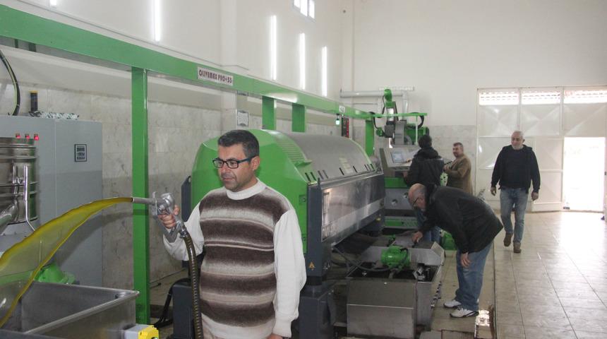 Zeytinyağ fiyatlarında düşüş