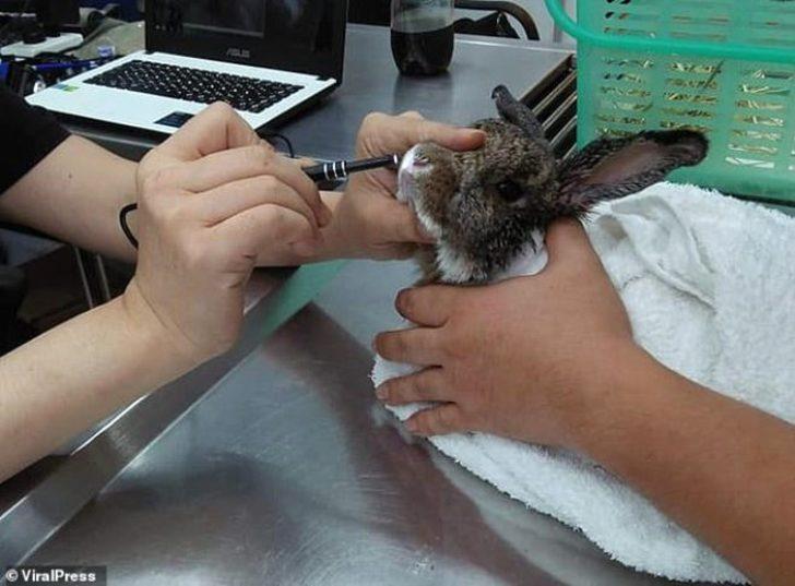 Hava kirliliği yüzünden vatandaşlar kan öksürüyor! G1