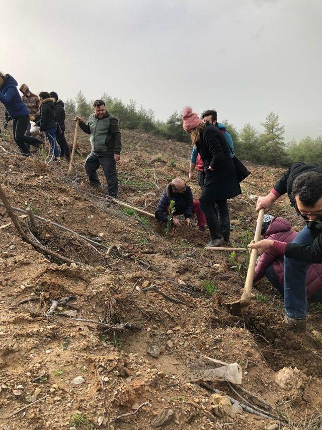 Problem savaşçıları doğaya el attı