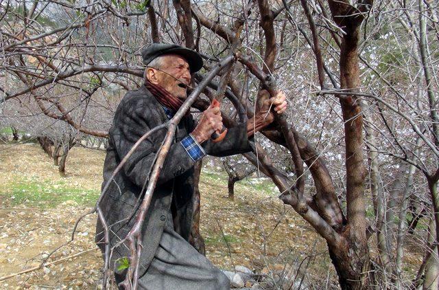 Ali Rıza dede: Sayın Cumhurbaşkanım sizi &ccedil;ok g&ouml;rmek istiyorum 2