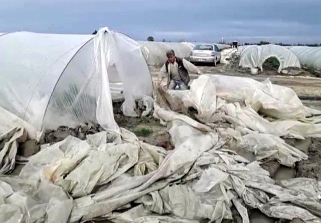 Tarsus'ta hortumun vurduğu seralarda onarım