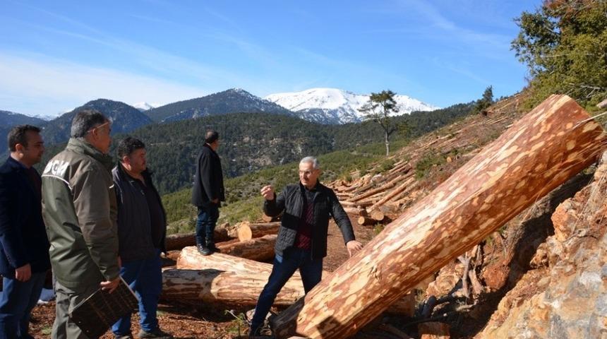 Yılmaz: "2019 yılı hedefimiz 1 milyon metrek&uuml;p &uuml;retim"