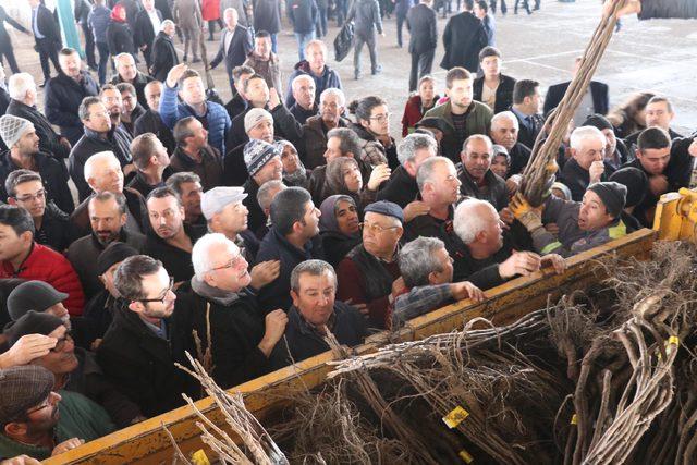 Bakan Pakdemirli: Hayvana yönelik şiddet suç sayılacak