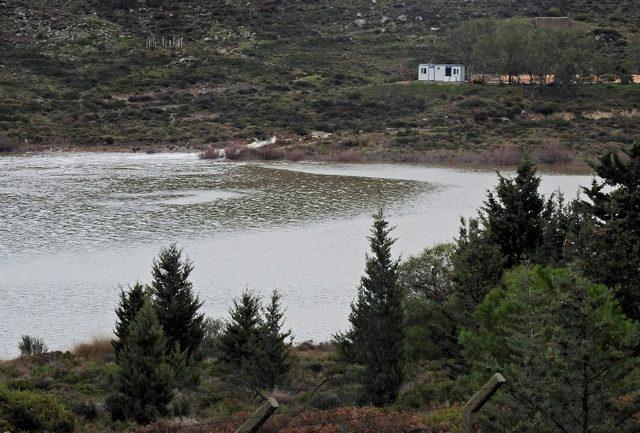 Alaçatı’daki barajı yüzde 95’e ulaştı, DSİ’den flaş uyarı