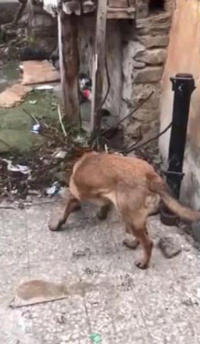Uyuşturucuları çatıya ve su borularına saklamışlar