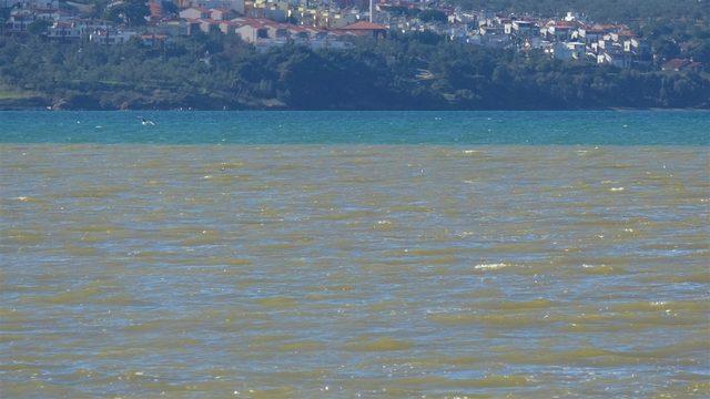 Edremit Körfezi'nde denizin rengi değişti