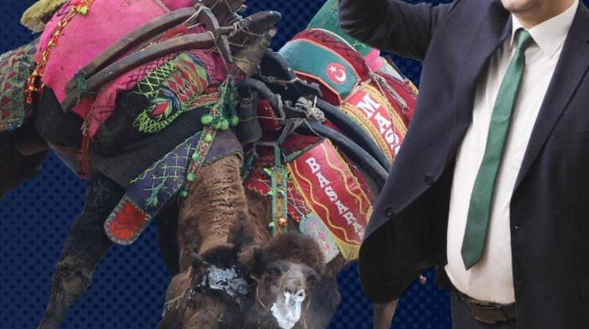 Umurbey 29. Geleneksel Deve G&uuml;reşleri Festivaline hazırlanıyor