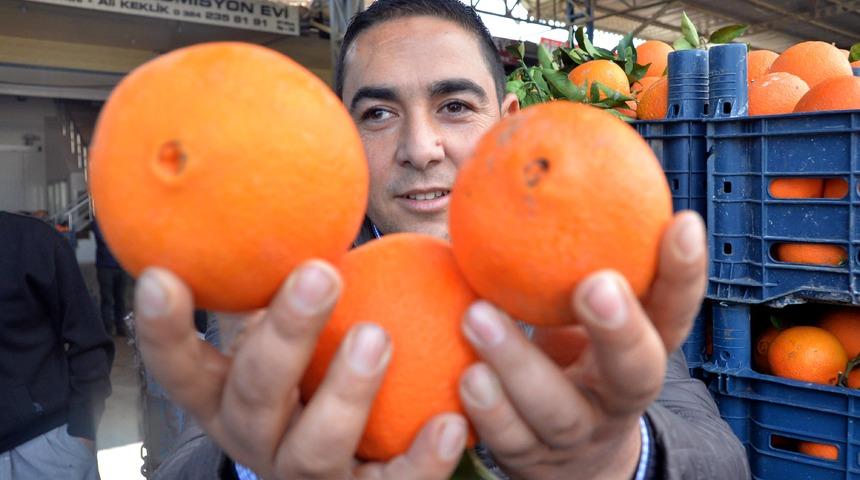 Portakalın hal çıkış fiyatı 1,30, mandalinanın ise 1,80 TL
