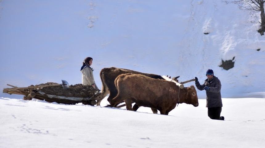 Bitlis&rsquo;te k&ouml;yl&uuml;ler kızaklı &ouml;k&uuml;z arabalarıyla hayvanlarına ot taşıyor