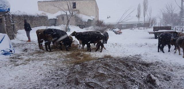 Aşkale’de ahır duvarı çöktü