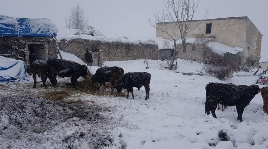 Aşkale&rsquo;de ahır duvarı &ccedil;&ouml;kt&uuml;