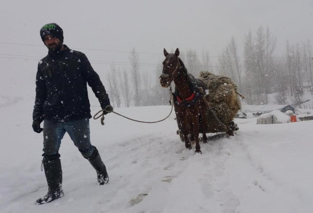 Hayvancılıkla uğraşanların zorlu kışı