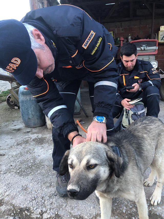 41 gündür kayıp yaşlı adamı bulduğu sanılan köpeğine GPS takıldı