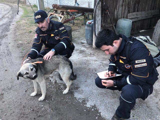 41 gündür kayıp yaşlı adamı bulduğu sanılan köpeğine GPS takıldı