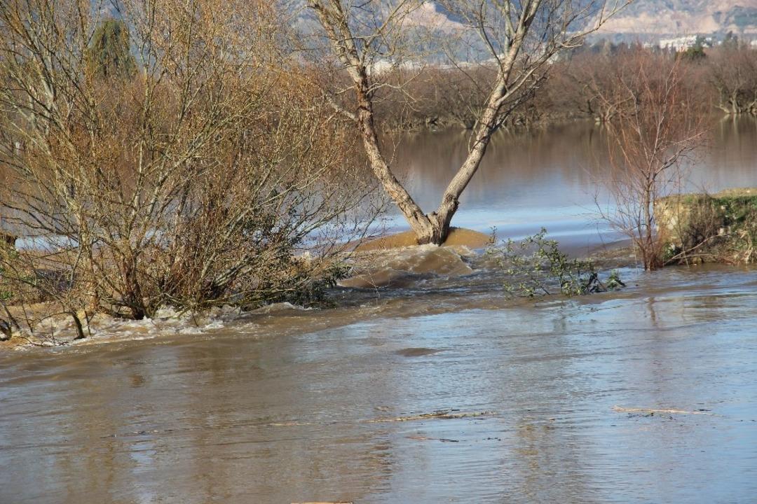 Taşkın yaşanan B&uuml;y&uuml;k Menderes nehrinde &ccedil;alışma başlatıldı