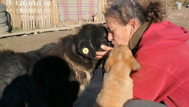 Doğuştan iki gözü olmayan köpeğe bebeği gibi bakıyor