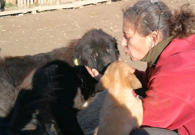 Doğuştan iki gözü olmayan köpeğe bebeği gibi bakıyor