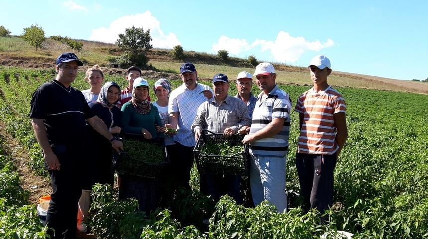 Kocaeli&rsquo;nde fide dağıtımı s&uuml;r&uuml;yor