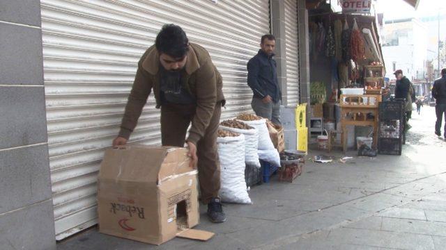 Diyarbakırlı simitçiden sokak hayvanları için çağrı