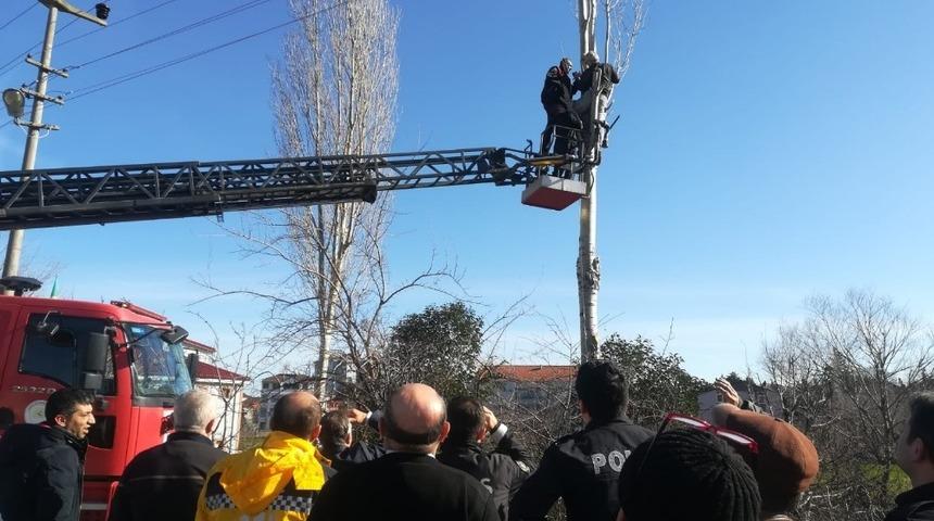 Ağa&ccedil; budarken elektrik akımına kapıldı