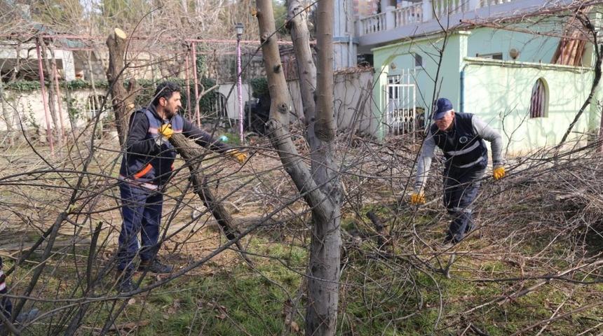 Siirt&rsquo;te ağa&ccedil; budama &ccedil;alışmaları başladı