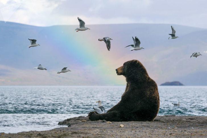 Doğa Fotoğrafları Festivali'nden etkileyici kareler  G1