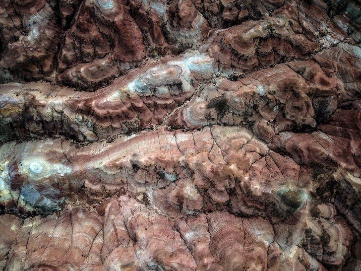 Oraya akın ediyorlar! G3