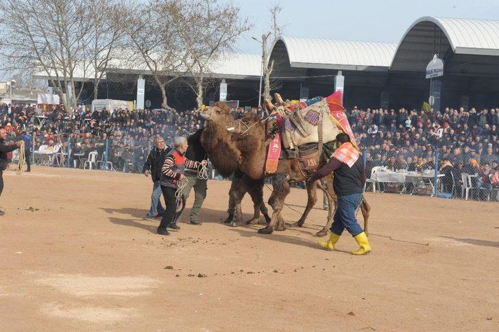 Biga’da deve güreşleri nefes kesti G2