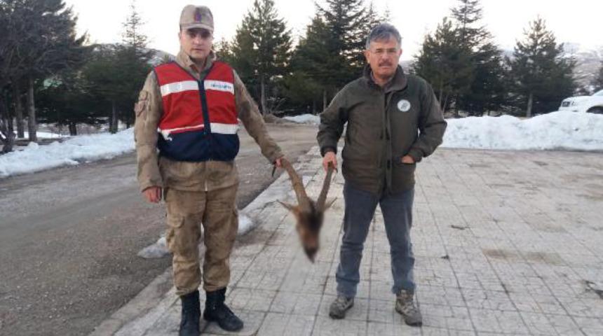 Avladıkları yaban ke&ccedil;isini yemek &uuml;zereyken yakalandılar (2)