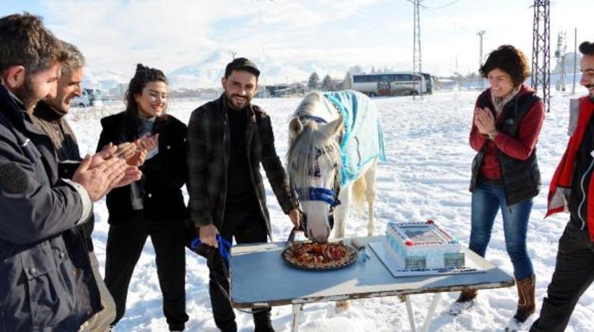 Erzurum'da yarış atına doğum g&uuml;n&uuml; partisi: İyi ki doğdun Baran!