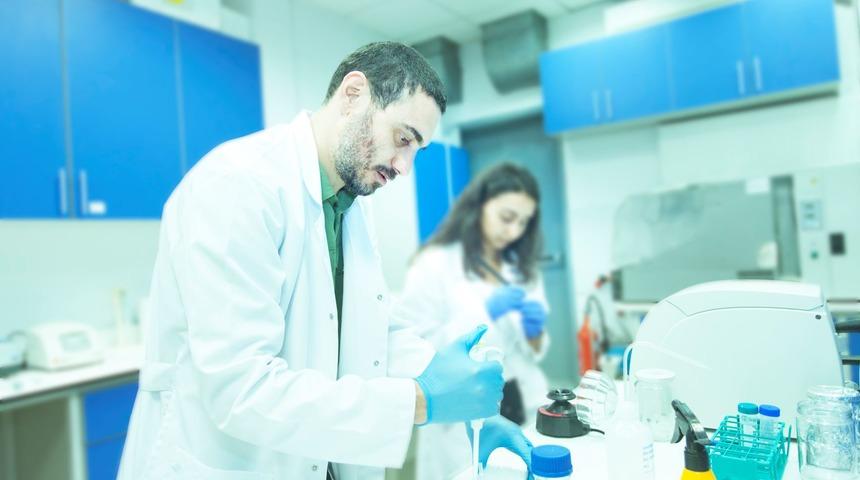 MIT ve Boğaziçi Üniversitesi'nden hibrid çavdar üretimi iş birliği
