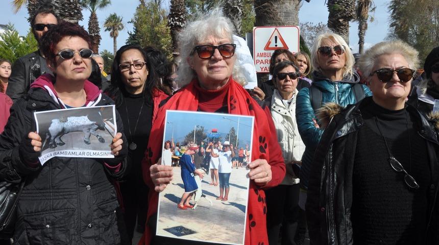 Dat&ccedil;a'da 3 k&ouml;peğin zehirlenerek &ouml;ld&uuml;r&uuml;lmesi protesto edildi