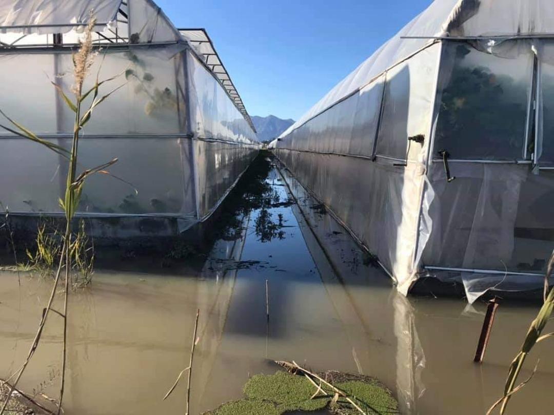 Kaş&rsquo;ta seralar su baskını tehdidi altında