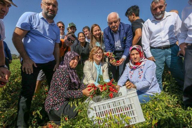 Gaziantep  çok iklimli şehir kategorisine girdi