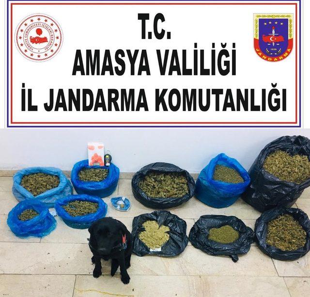 Amasya'da uyuşturucu operasyonunda 1 tutuklama