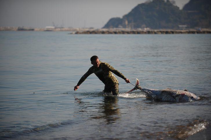 Her biri yarım tonluk, karaya vurdular  G1