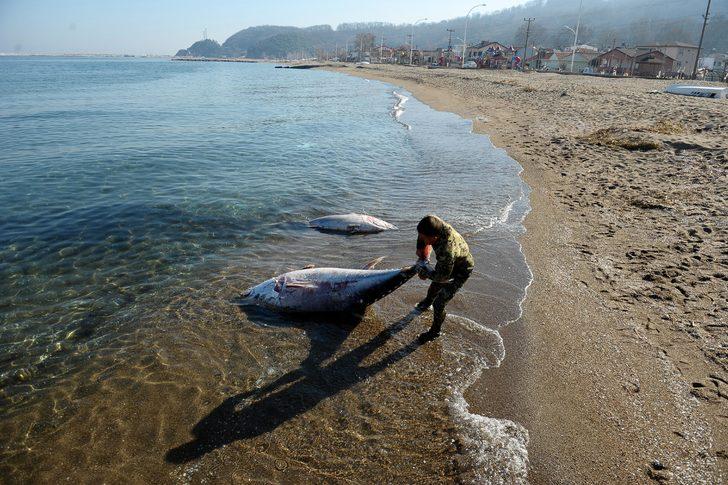 Her biri yarım tonluk, karaya vurdular  G3