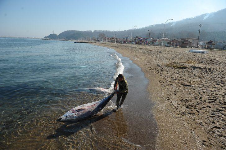 Her biri yarım tonluk, karaya vurdular  G4