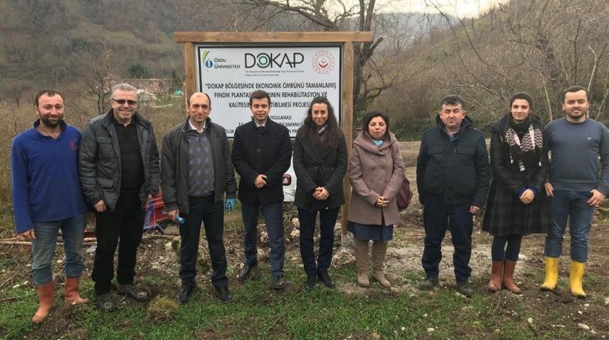 OD&Uuml;&rsquo;den fındık bah&ccedil;elerinin yenilenmesine bilimsel destek